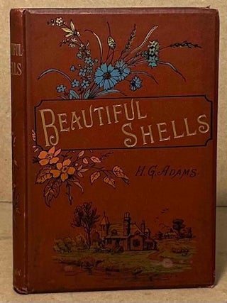 Item #110849 Beautiful Shells. H. G Adams