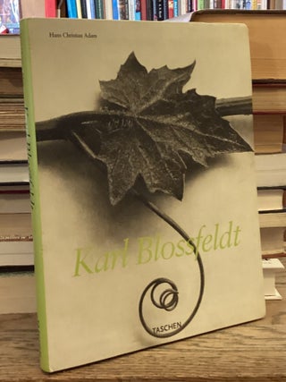 Karl Blossfeldt _ 1865&ndash;1932
