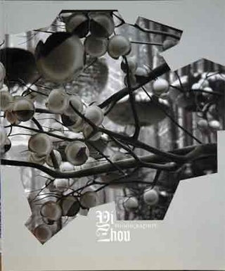 Item #37242 Di Zhou Monographie 2002-2008. Galerie Enrico Navarra