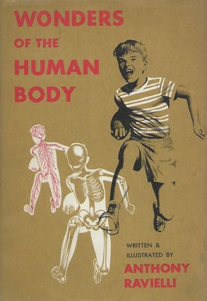 Item #60347 Wonders of the Human Body. Anthony Ravielli