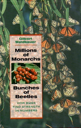 Item #66562 Millions of Monarchs _ Bunches of Beetles How Bugs Find Strenght in Numbers. Gilbert...