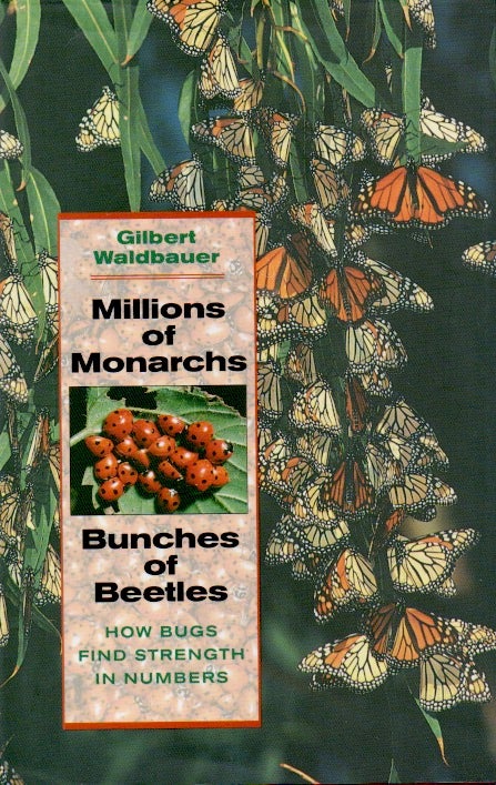 Item #66562 Millions of Monarchs _ Bunches of Beetles How Bugs Find Strenght in Numbers. Gilbert Waldbauer.