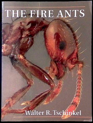 Item #78025 The Fire Ants. Walter R. Tschinkel