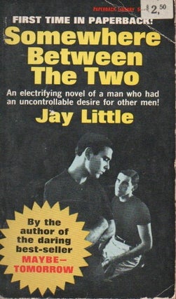 Item #79353 Somewhere Between the Two. Jay Little