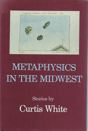 Item #79666 Metaphysics in the Midwest__Stories. Curtis White