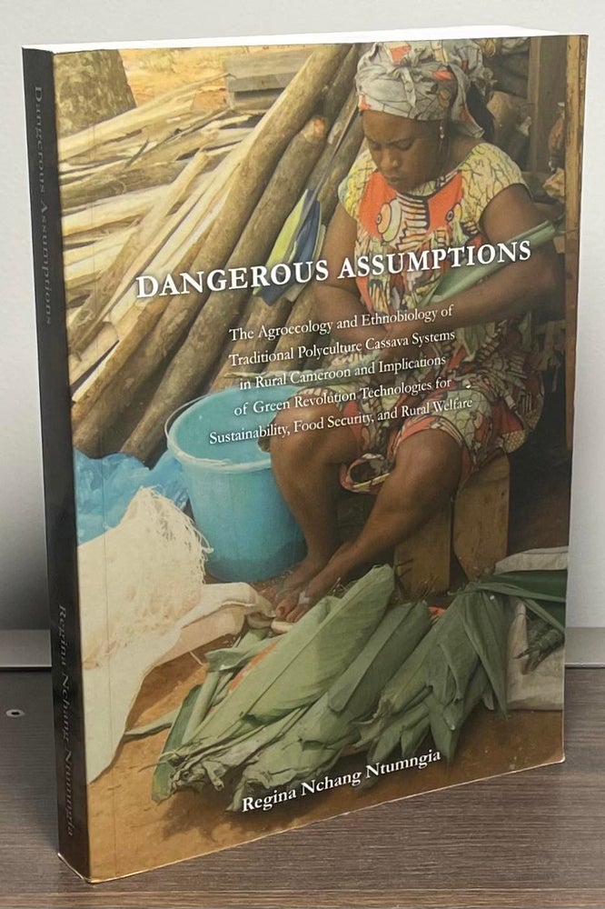 Item #88789 Dangerous Assumptions. regina Nchang Ntumngia.