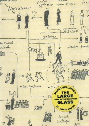 Item #91731 The Large Glass. Mario Bellatin, David Shook, trans