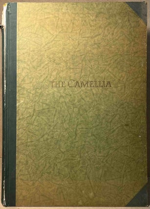 Item #94920 The Camellia. Beryl Leslie Urquhart