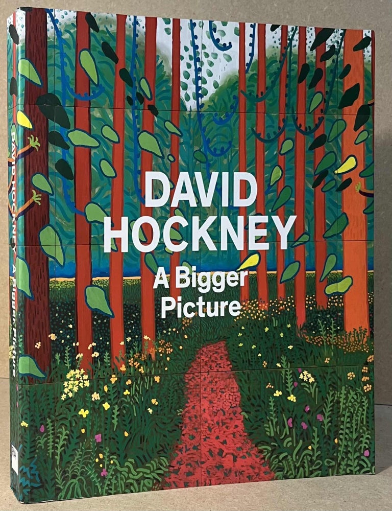 David Hockney _ A Bigger Picture | Marco Livingstone, Edith Devaney ...